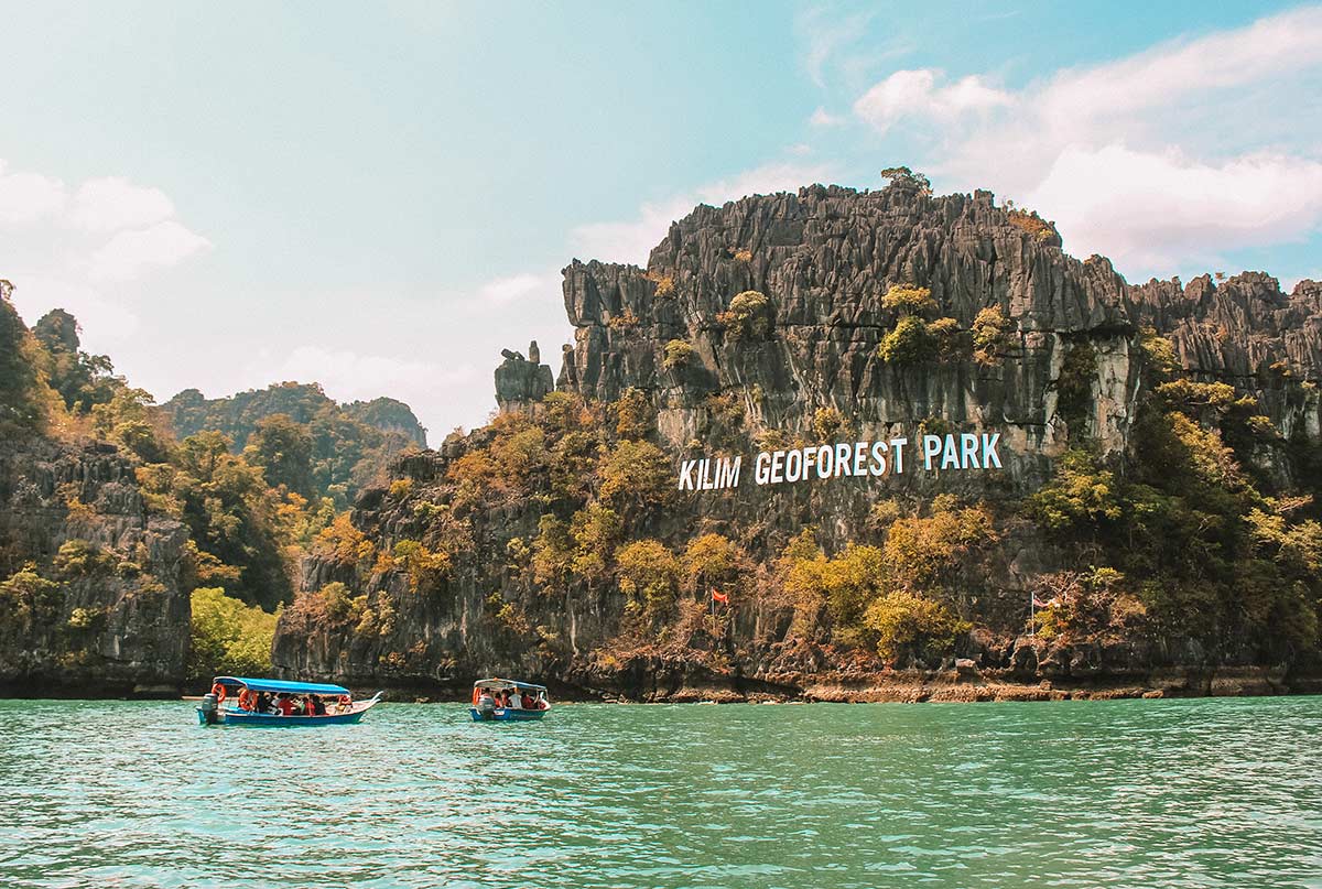 Jelajahi Ekosistem Langkawi yang Menakjubkan dalam Mangrove Tour