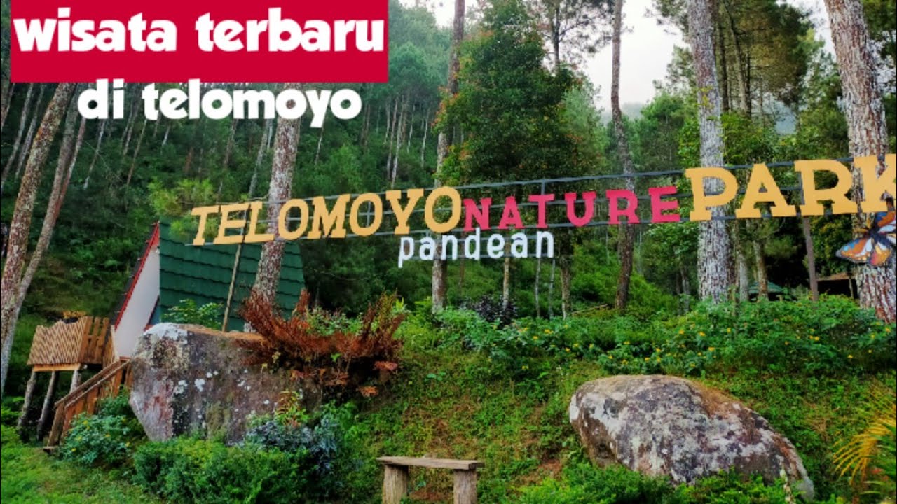 Telomoyo Nature Park: Pesona Alam Menakjubkan di Jawa Tengah